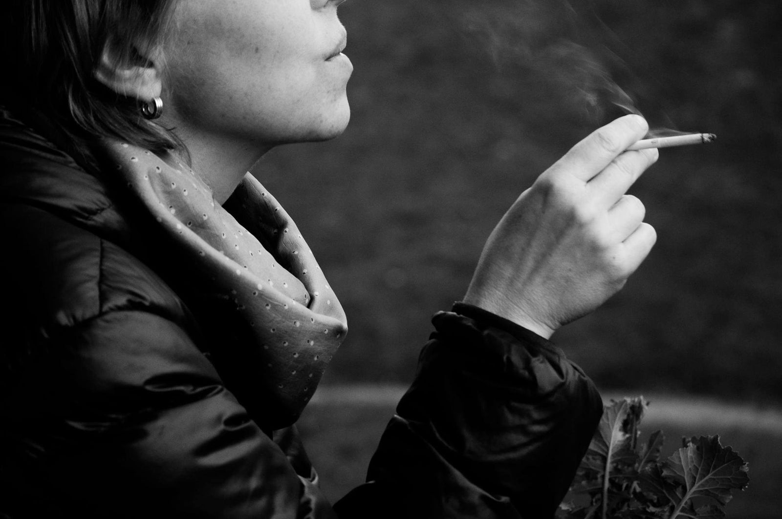 Artists in Motion: The meaningful art of Joanna Concejo