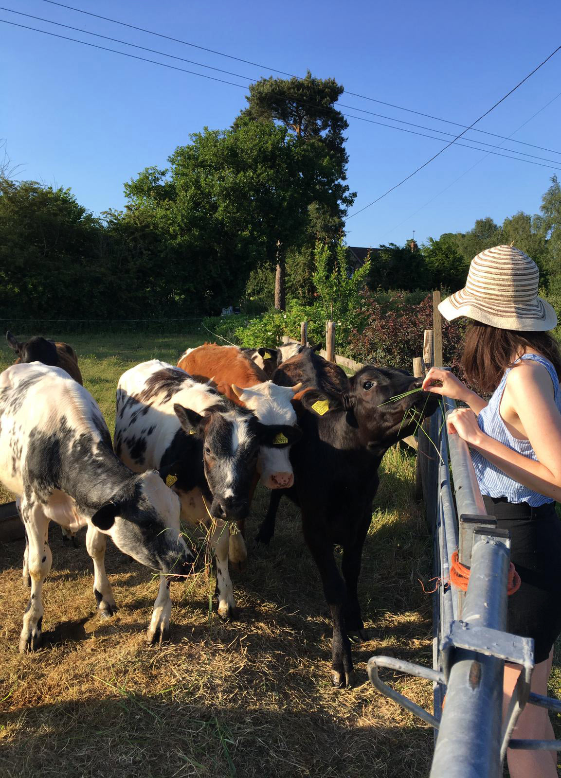 My Pandemic Year: How artists get inspired, create, work and cope with life at home.