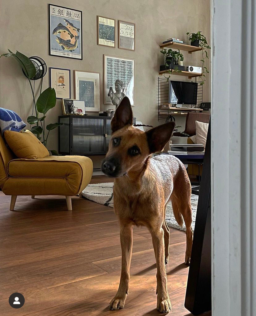 Eightyfive.sqm’s top picks Gift Guide holiday edition 2021 for Toi Art Gallery