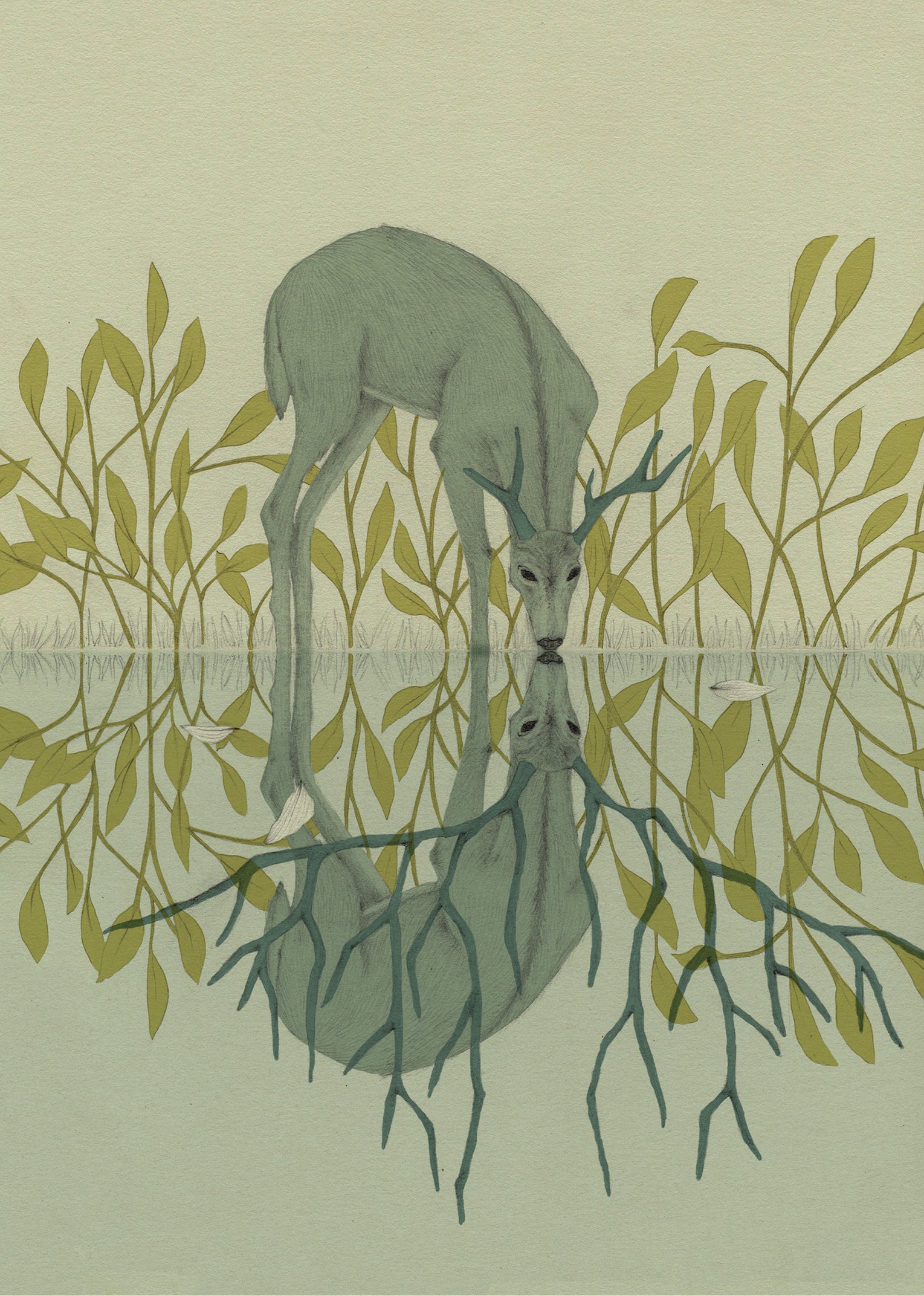 botanical prints toi art gallery