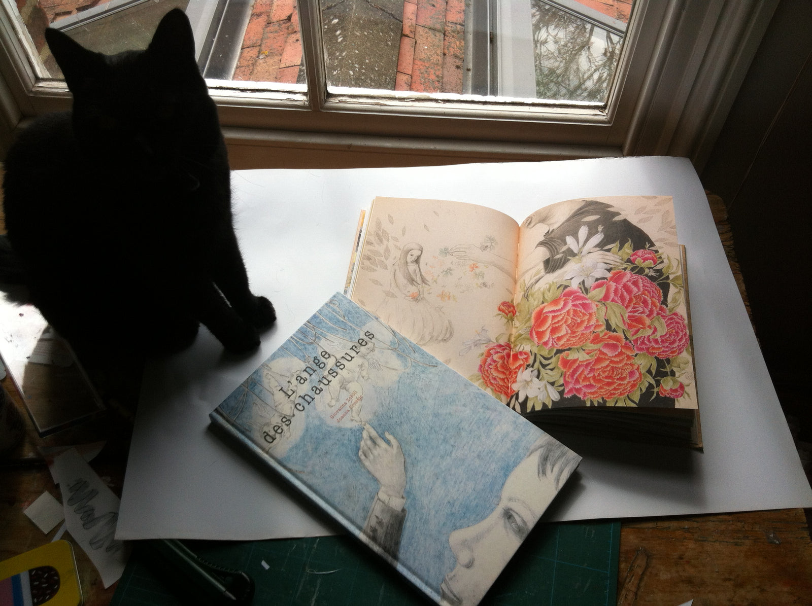 Joanna Concejo's daydreaming space.