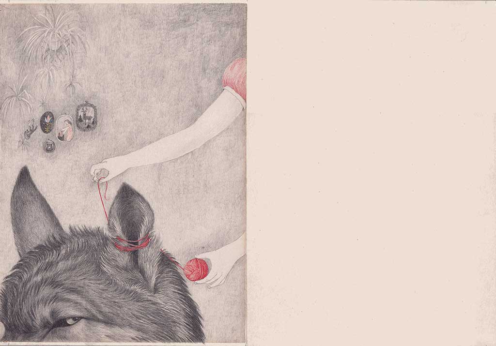 Joanna Concejo: Art for the curious voyeur. Toi Art Gallery.