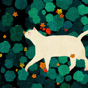 Nasturtium Cat by Xuan Loc Xuan