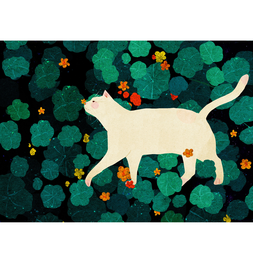 Nasturtium Cat by Xuan Loc Xuan