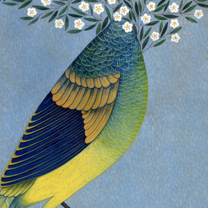 Spring Loyalty by Maryam Lamei Harvani