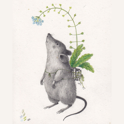 Mouse by Joanna Concejo