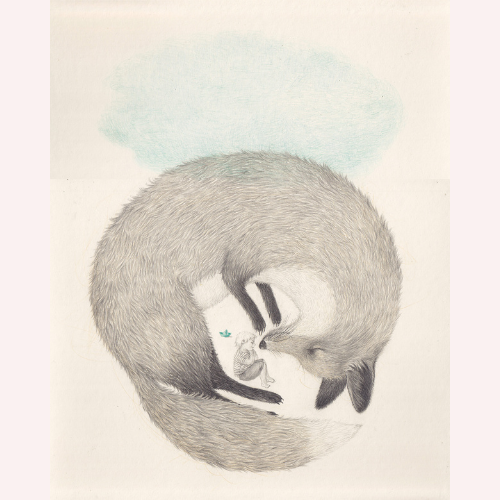 Renard et le garçon by Joanna Concejo