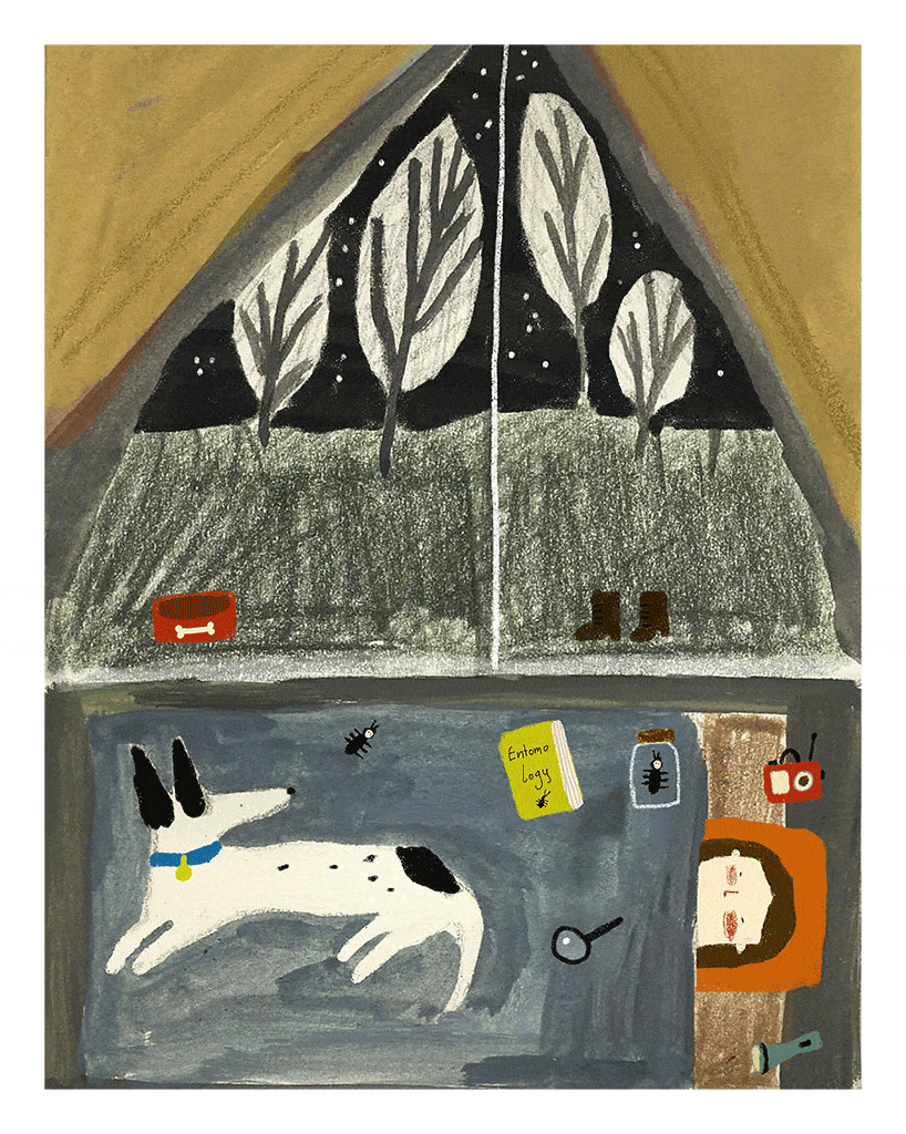 A Sky full of stars by Zafouko Yamamoto