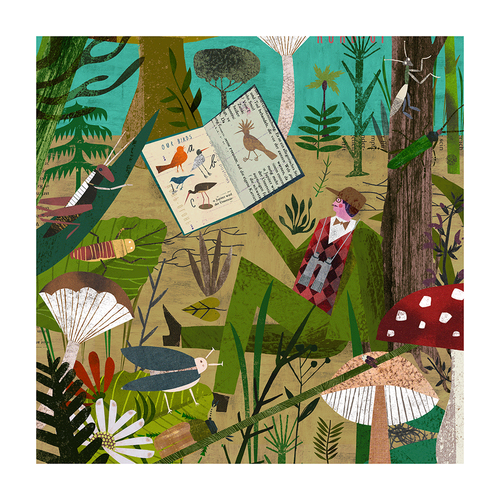 Birdwatcher by Martin Haake