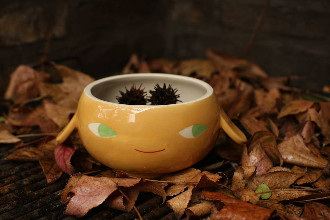 Puppy Bowls - Toi Gallery 