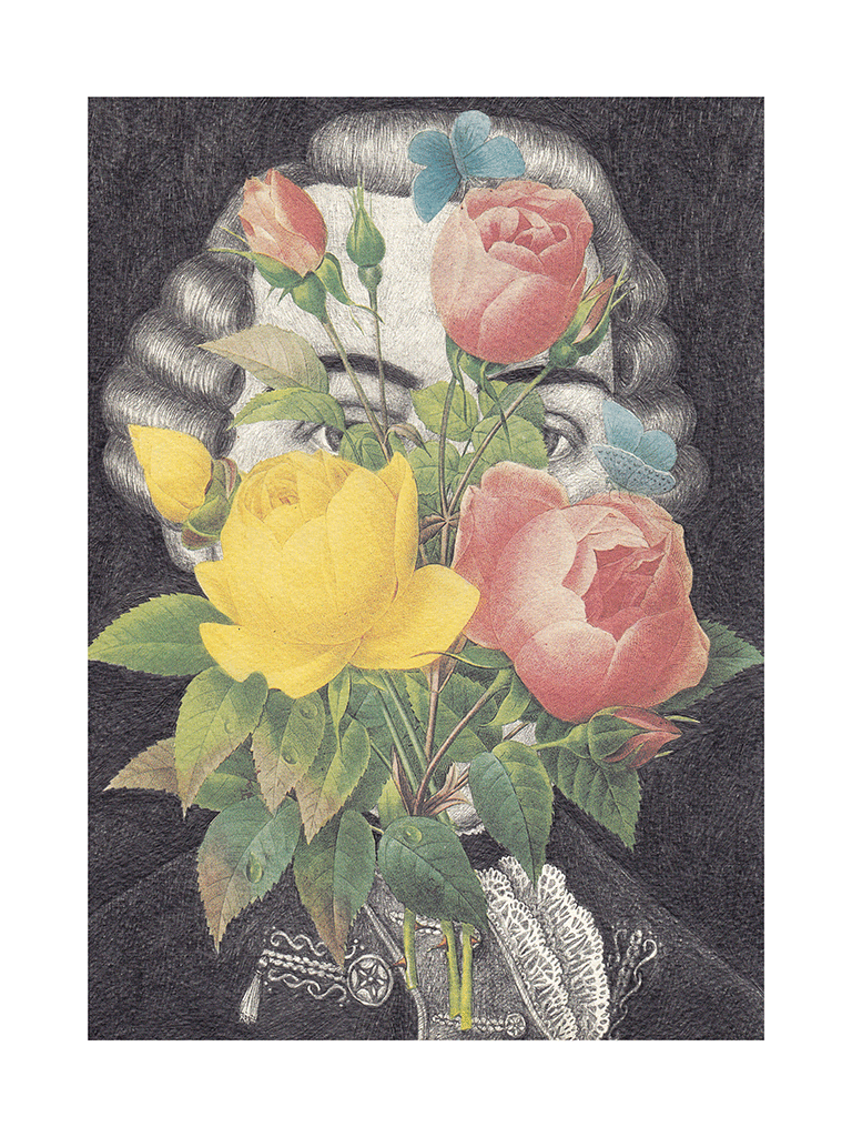 Fleurs by Joanna Concejo