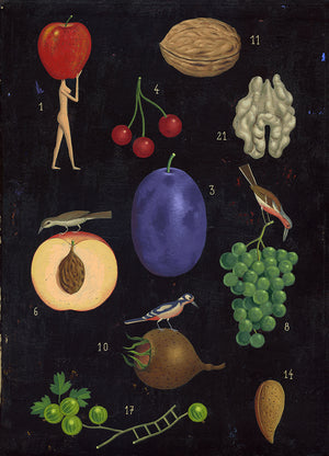 Fruits du verger by Martin Jarrie - Toi Gallery 