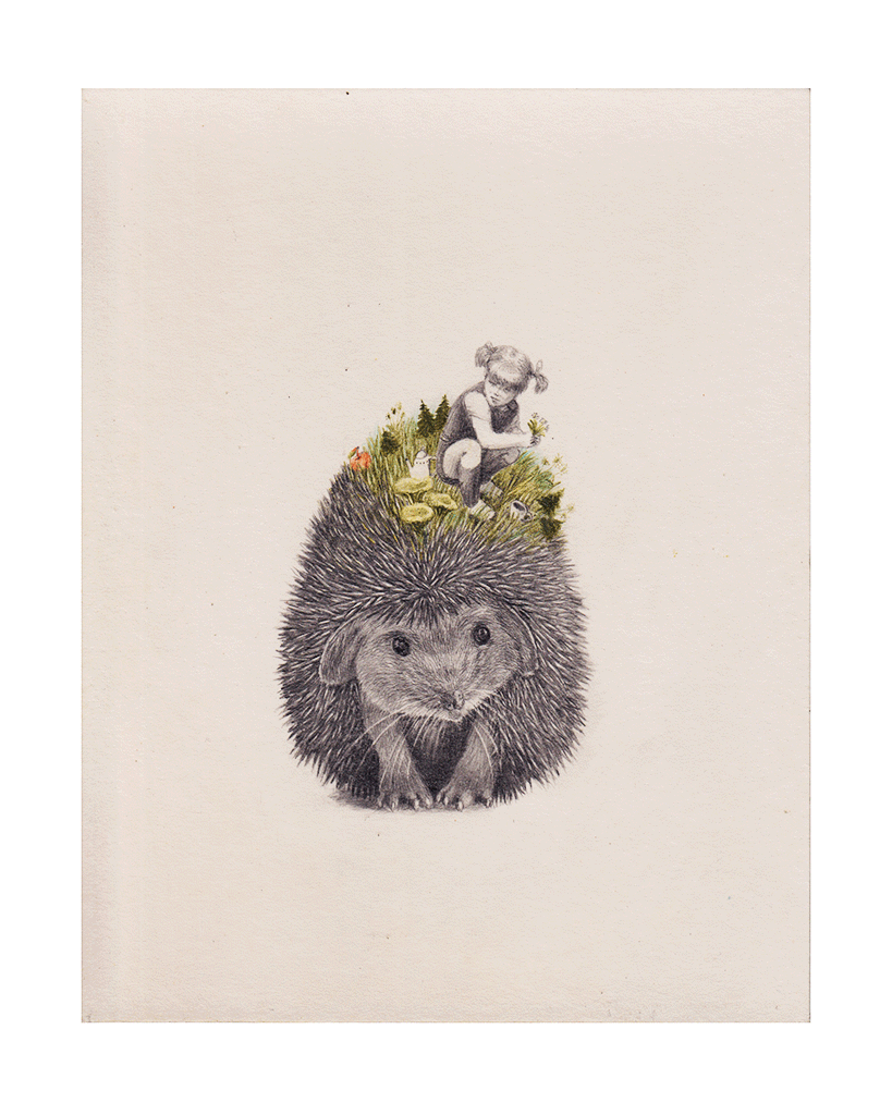Hérisson et moi by Joanna Concejo - Toi Gallery 