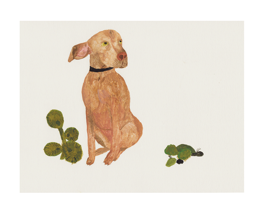 Hungarian vizsla by Liz Rowland