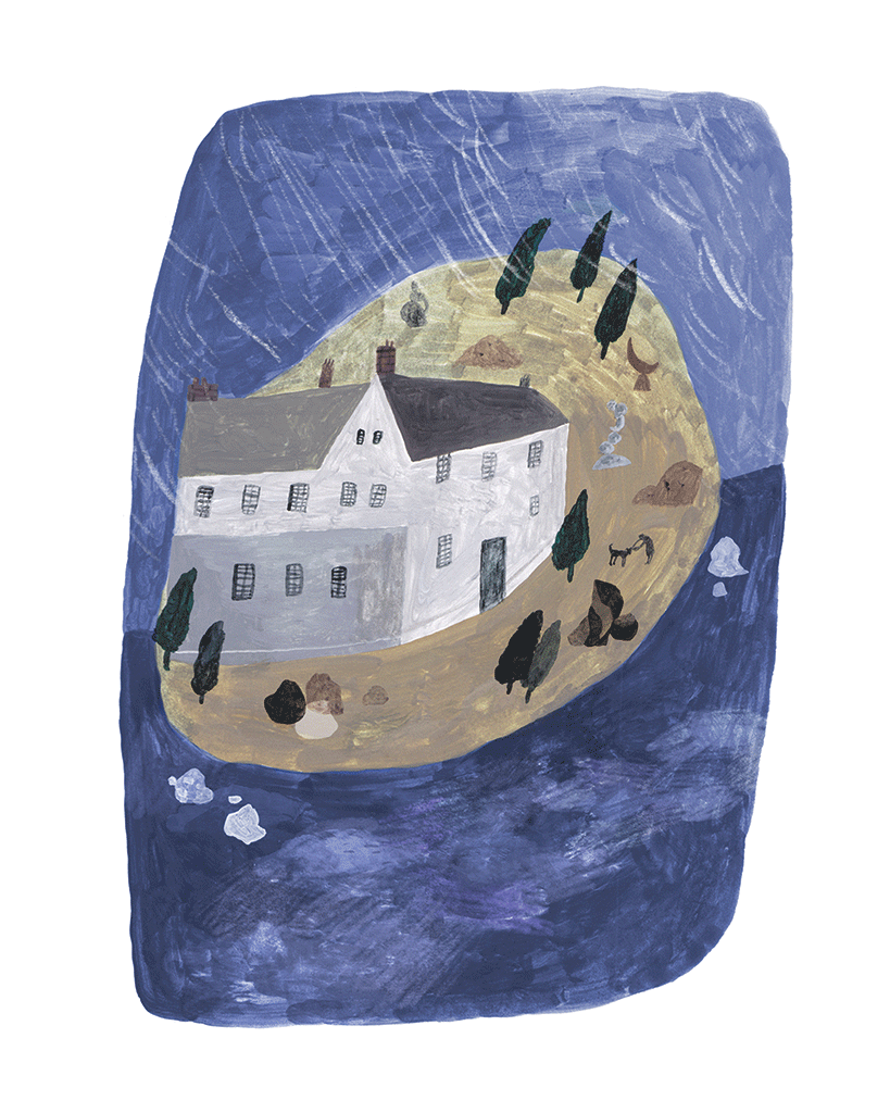 Island by Liz Rowland