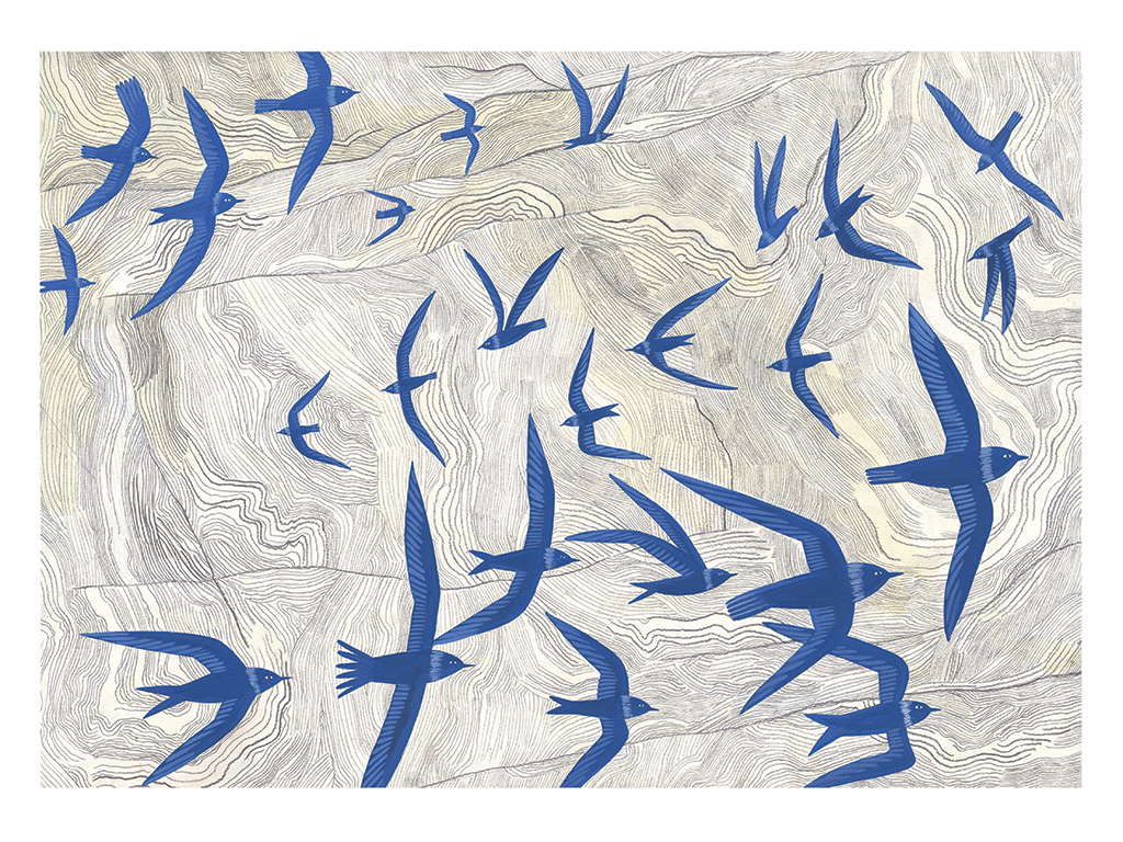 Murmuration by Laila Ekboir