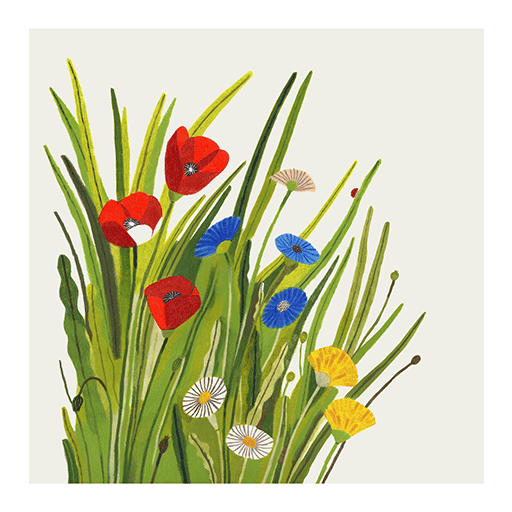 Summer flowers by Beatrice Cerocchi