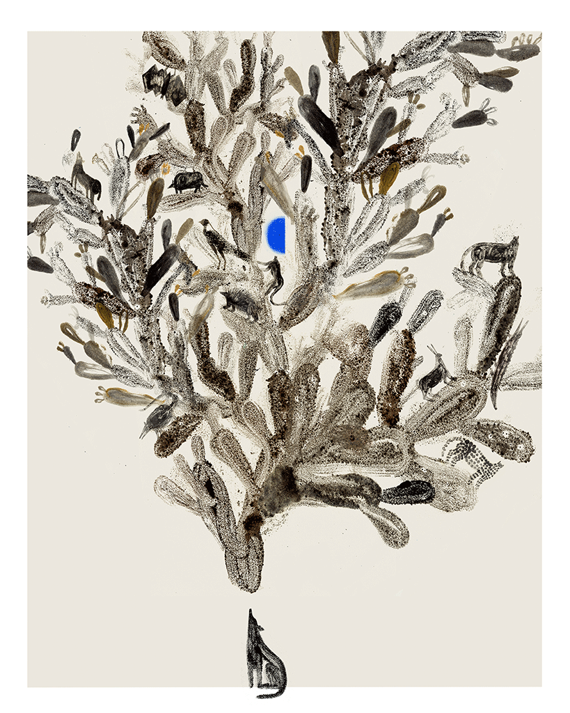 The voice by Armando Fonseca