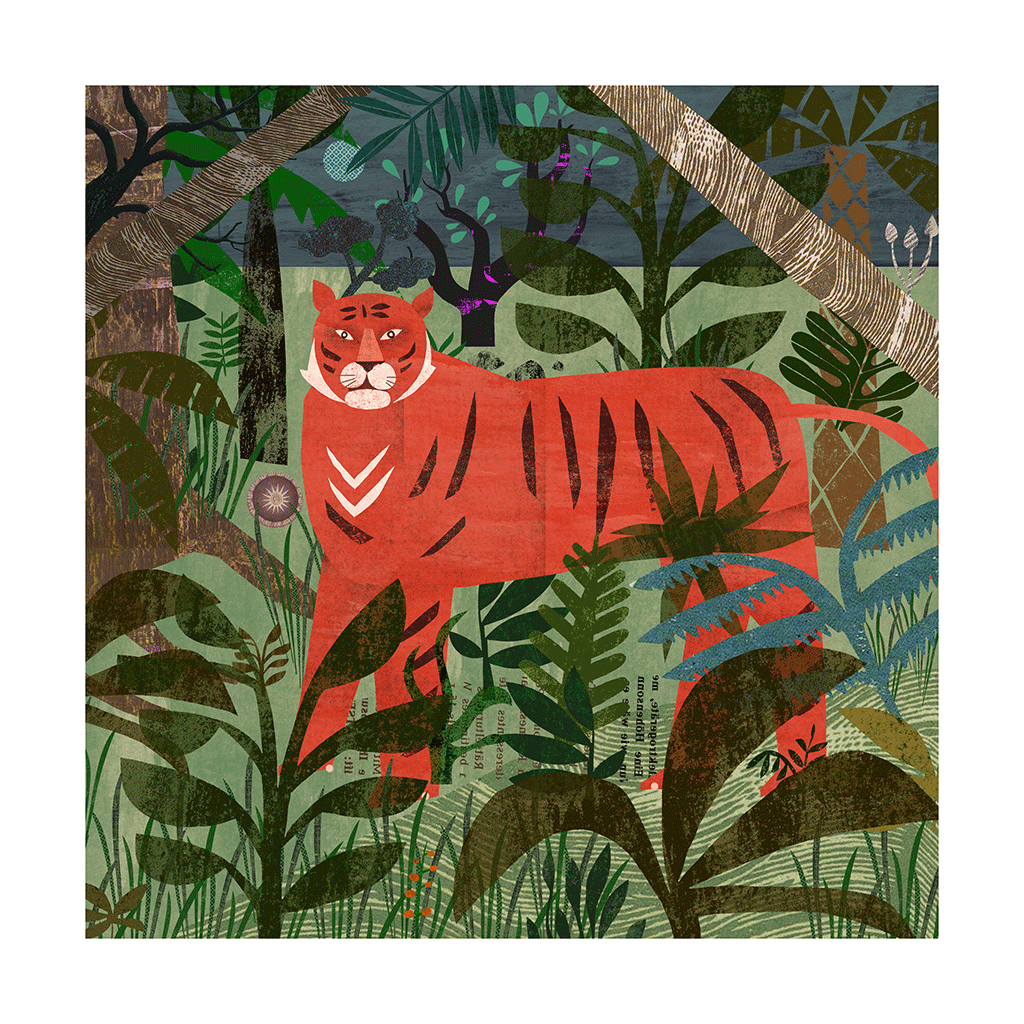 Tiger by Martin Haake