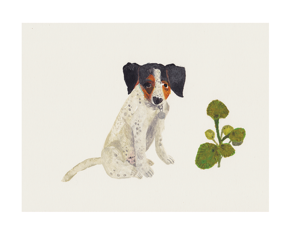 Spotty dog by Liz Rowland