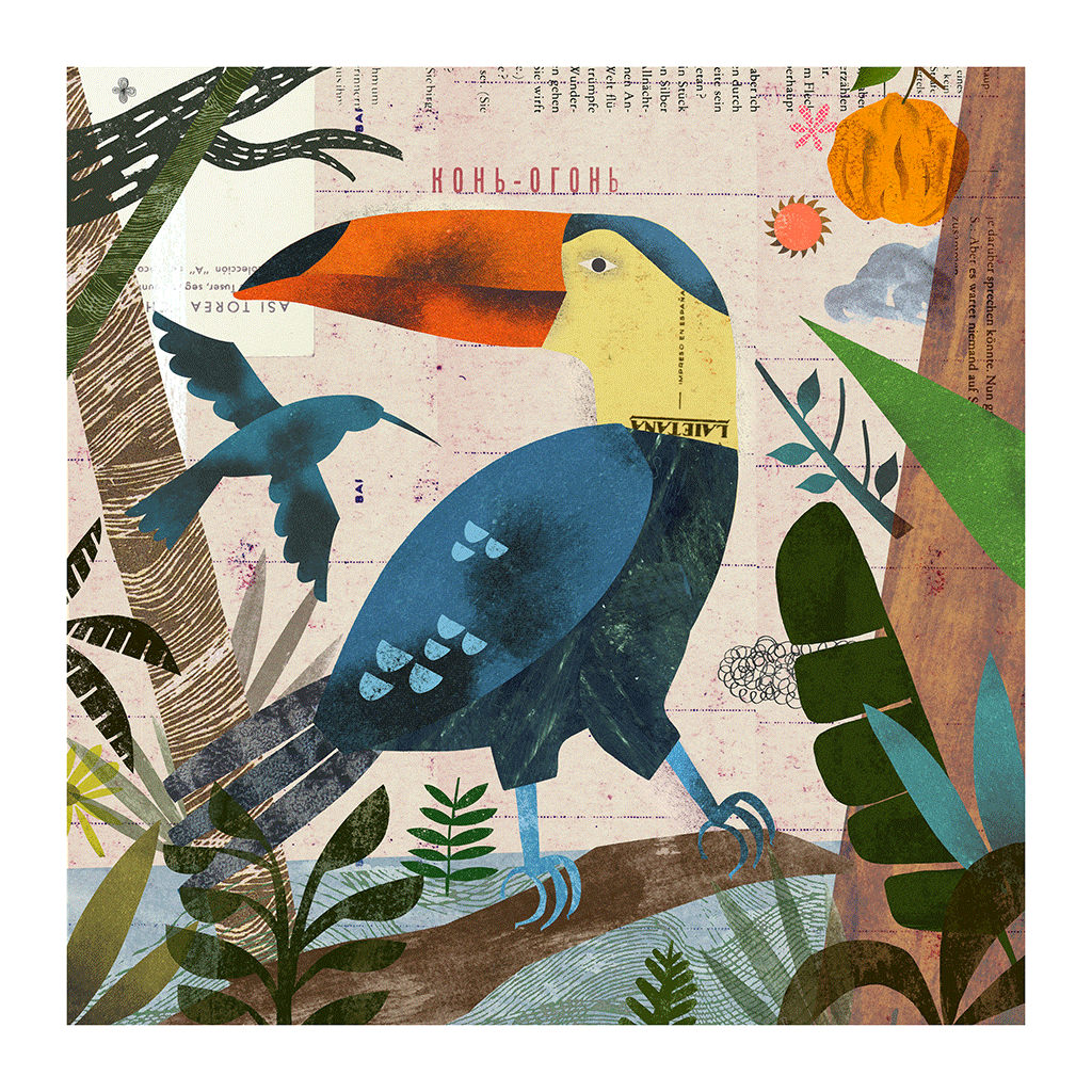 Toucan by Martin Haake