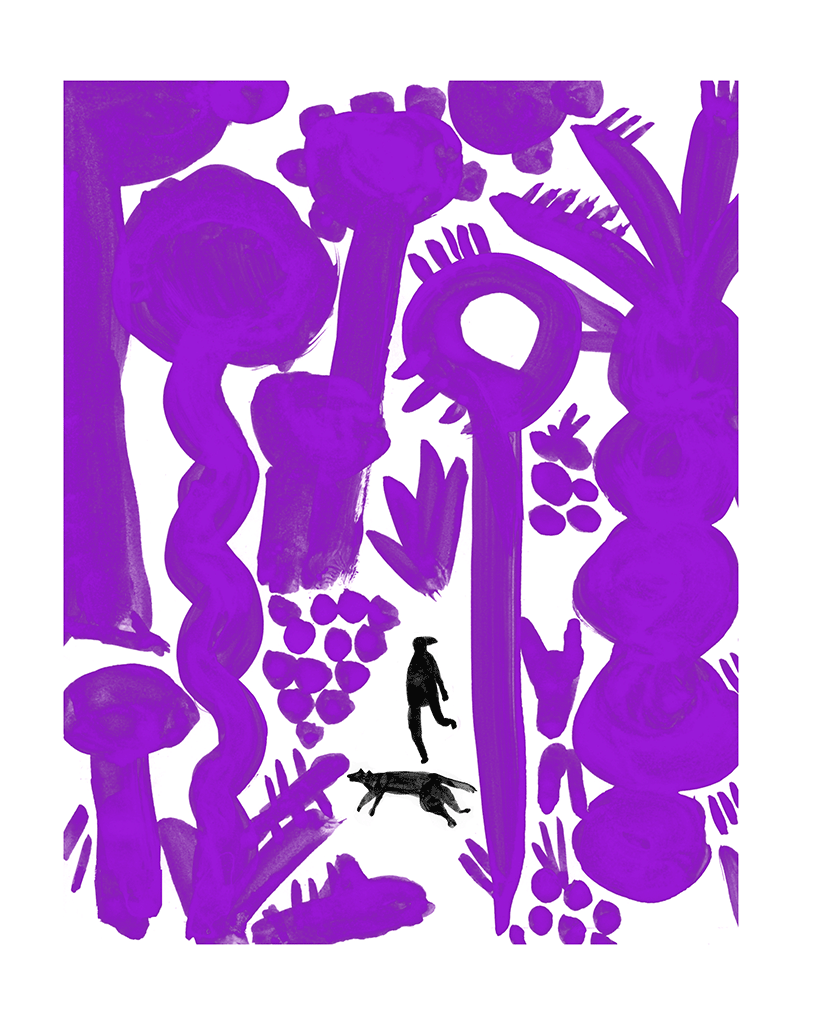 Violet Hike by Andrea D'Aquino